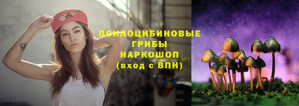 марки lsd Богородицк