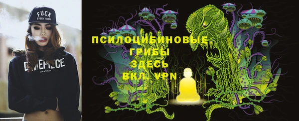 прущая мука Бородино