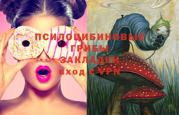 прущая мука Бородино
