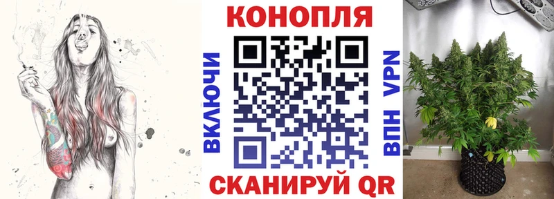 Канабис VHQ  мега ссылки  Морозовск 